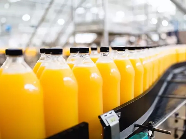 FERMENTED TAPIOCA FT-100